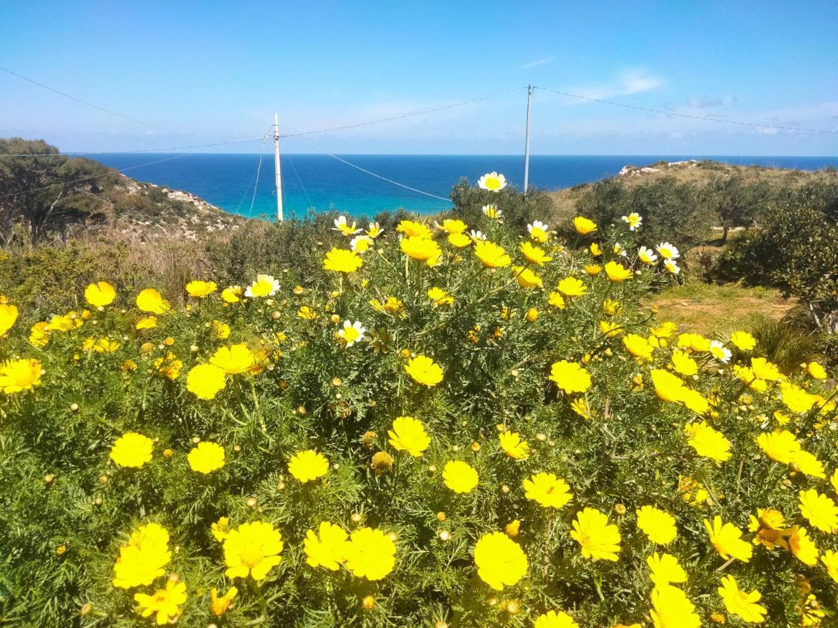 Hotel Cala rossa Castellammare del Golfo Esterno foto